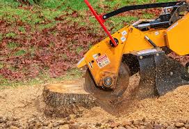 Leaf Removal in Warren, OH